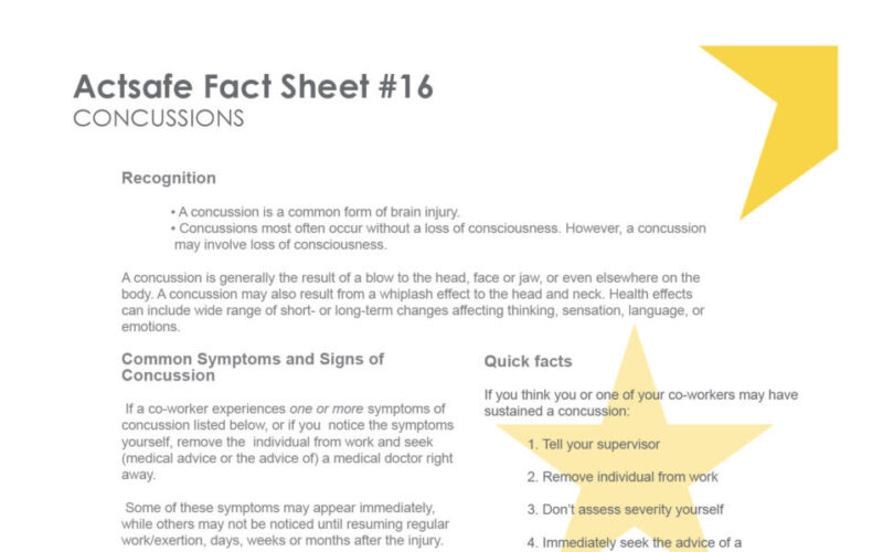 Concussion-Fact-Sheet-PDF