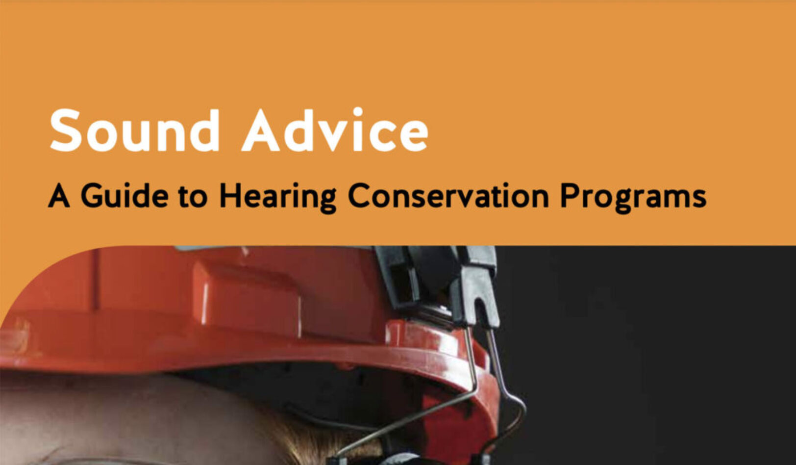 Sound Advice: A Guide to Hearing Loss Prevention Programs