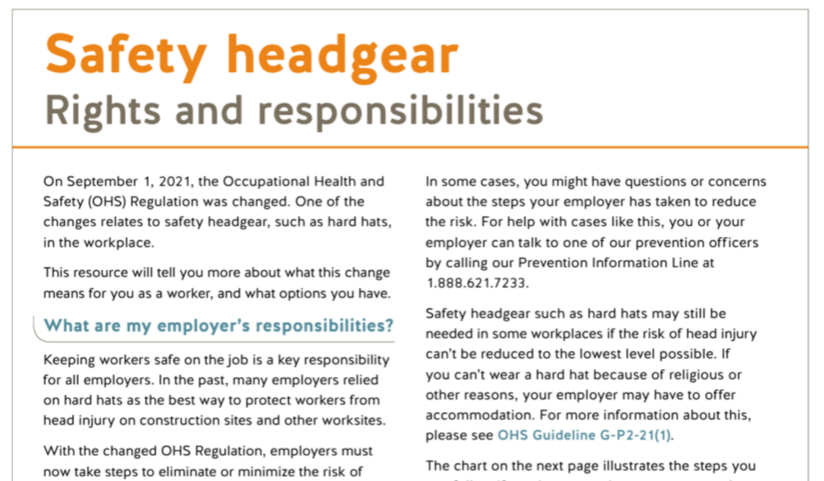 Safety Headgear: Rights and Responsibilities